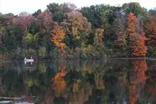 postcard perfect.webp