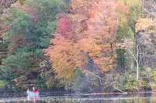 the colors are in season.webp