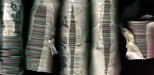 4.5 rolls.webp