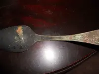 DSCN1118.webp