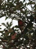 6.webp 6.webp