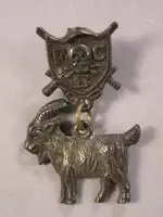 Crossed Swords Pin with Goat - F-C-B Knights of Pythias.webp