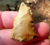DSCF0013.webp