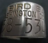 BIRD BAND.webp