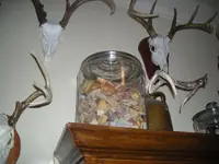 arrowheads - broken from yazoo Oct.2011 002.webp