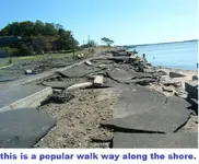 DSCF0623.webp