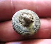 10-11 dirty button back.webp