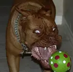 The last moments of Mr. Greenball.webp