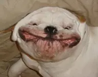 Mom said if I kept making this face it would get stuck..webp