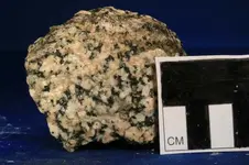 7 - granodiorite_wet_resize.webp