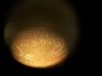 1909svdbreverse3.webp