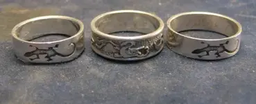 lizzard_rings.webp