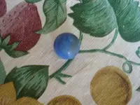 DSC00081.webp