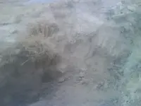 DSC00225.webp