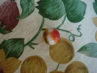 DSC00087.webp