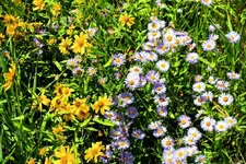 8-11c.webp