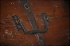 trunk6.webp
