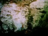 KINGMINE1_1_1 011c.webp