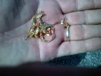 0919111128.webp