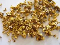 Gold 5.webp