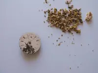 Gold 22.webp