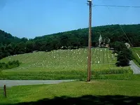 Picture 016.webp