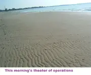 DSCF0955.webp