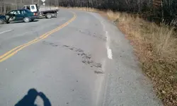 2011-10-11 14.03.47.webp