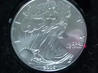 silvereagle2.webp