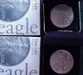 silvereagle3.webp