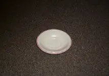 dish.webp