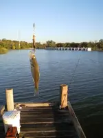 1025110824.webp