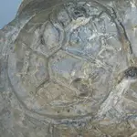 untitled.webp