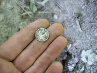 AUG 20th HUNT WITH GARY 2 COPPERS 006 [640x480].webp