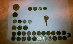 IMAG0160.webp