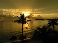 013.webp