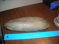 celt (9) 2011 001.webp