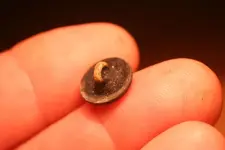 NH FINDS 10-02 014.webp
