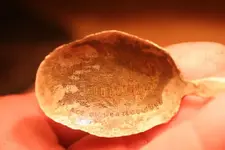NH FINDS 10-02 015.webp
