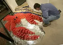 Canstruction #8.webp