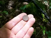 AUG 12TH CELLAR HOLE 1833 MATRON FATTY IH 002 [640x480].webp