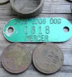 2006 DOG LICENSE.webp