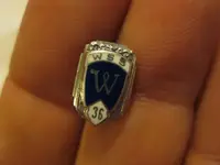 wpin1.webp