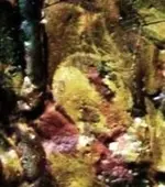 Phoenician Ship on Globe 5a.webp