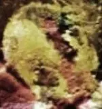 Phoenician Ship on Globe 4.webp