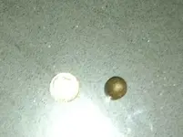 bullet 3.webp