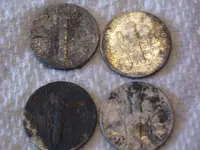 vineyard dimes.webp