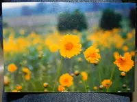 013.webp