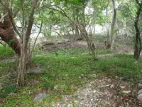Norman Island Treasure Pit.webp