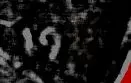 penny2.webp